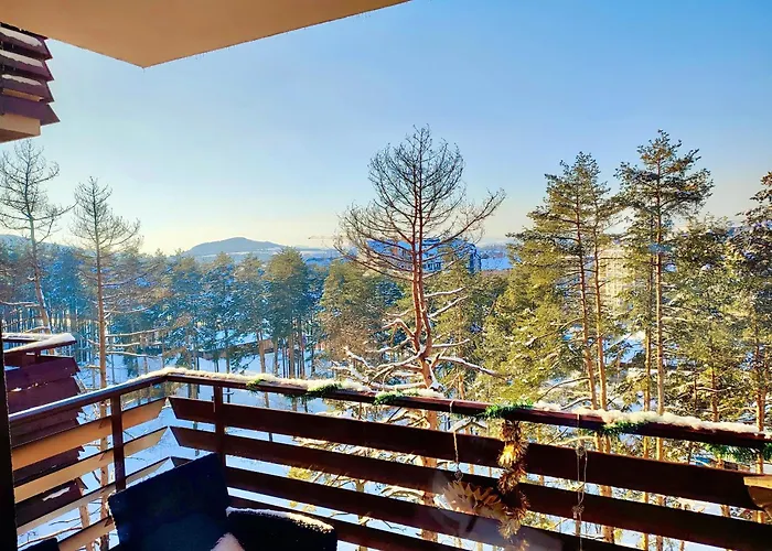 Balkanhill2 S37 Pekovic 公寓 兹拉蒂博尔